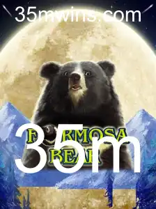 Descubra o Fascinante Mundo de FormosaBear